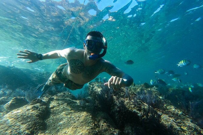 Kayak Expedition to the Arch of Cabo San Lucas, Lovers Beach & Snorkel - Reaching El Arco with the sea lions nearby