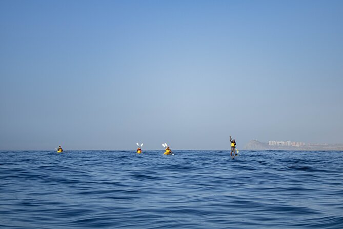 Kayak from Viudas Beach to Chileno Bay & Snorkel + Beach Time - Who will enjoy this Cabo kayak tour most