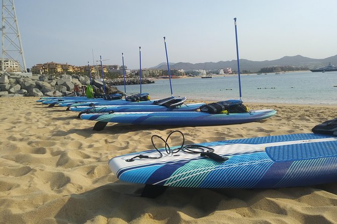 Kayak or Paddle Board & Snorkel to the Arch with Photos included - Wildlife and the Cabo ecosystem