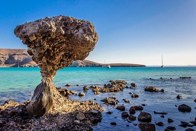 La Paz, Balandra and Todos Santos from CABO and San Jose - El Coromuel adds swimming time, but not everyone needs it