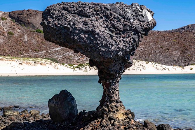 La Paz City Tour from Cabo - What the Guide Can Add to the Day
