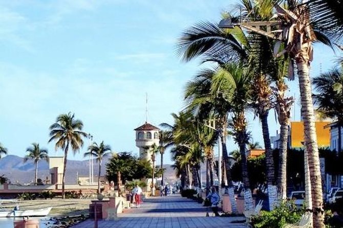 La Paz Whale Shark Snorkeling Tour and Lunch From Los Cabos - Lunch on the Malecon
