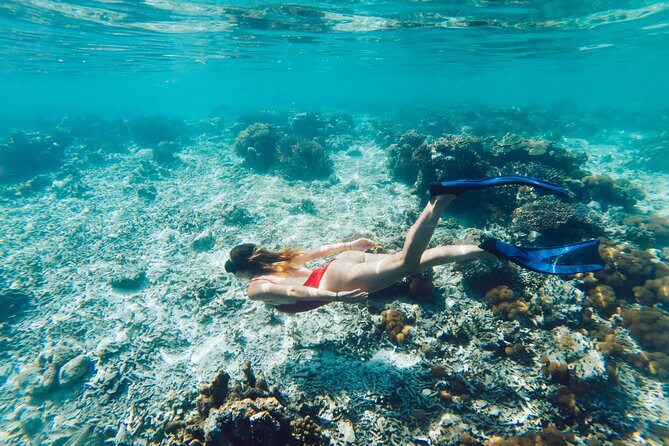 La Paz World Class Snorkeling in Balandras Hidden Beaches - The early pickup and long road to Pichilingue