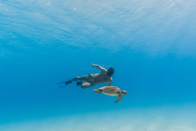 La Paz World Class Snorkeling in Balandras Hidden Beaches - The quieter beach stop and kayak time