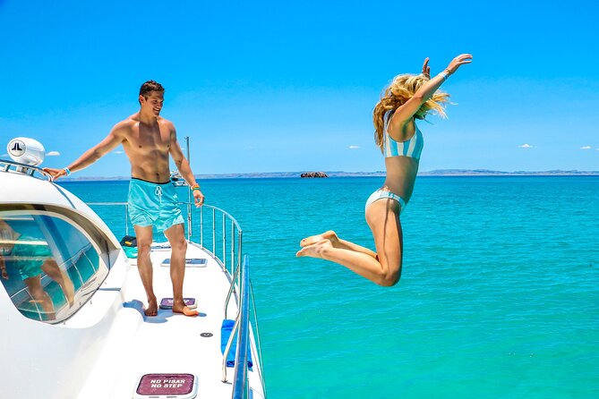 La Paz World Class Snorkeling in Balandras Hidden Beaches - How much value do you get for $219?