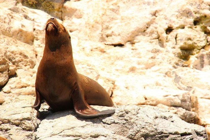 Land's End Sightseeing Boat Tour in Los Cabos - How the small boat changes the experience