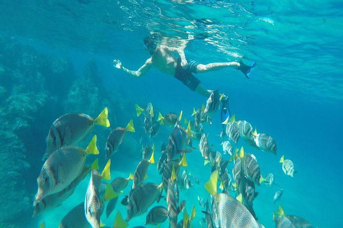 Land's End & Snorkel Tour in a Glass Bottom Boat (VisitA Cabo) - What this Cabo boat trip is really about
