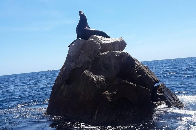 Land's End & Snorkel Tour in a Glass Bottom Boat (VisitA Cabo) - Lover’s Beach and Divorce Beach