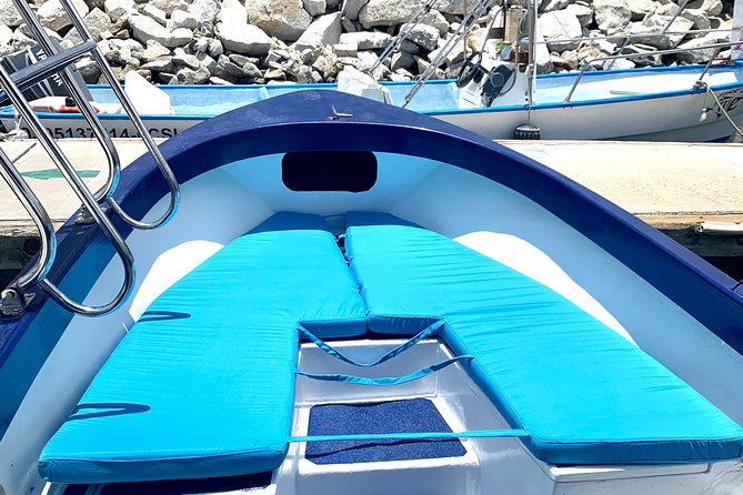 Land's End Tour in a Glass Bottom Boat - Seeing Cabo’s landmarks from the sea