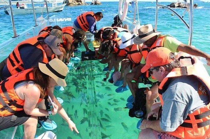 Lands End Tour by Clear Boat in Cabo San Lucas - El Arco and the short photo window