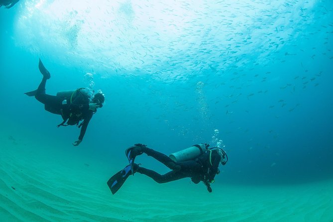 Learn to Scuba Dive in Cabo San Lucas with PADI - What the $129 price really buys you