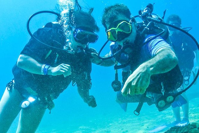 Learn to Scuba Dive in Cabo San Lucas with PADI - Pickup timing can make or break the morning