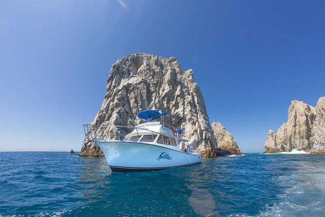 Learn to Scuba Dive in Cabo San Lucas with PADI - Safety, comfort, and the first-time learning curve