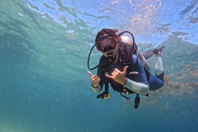 Los Cabos 1 tank dive to Land’s End (Certified Divers) - Key points at a glance