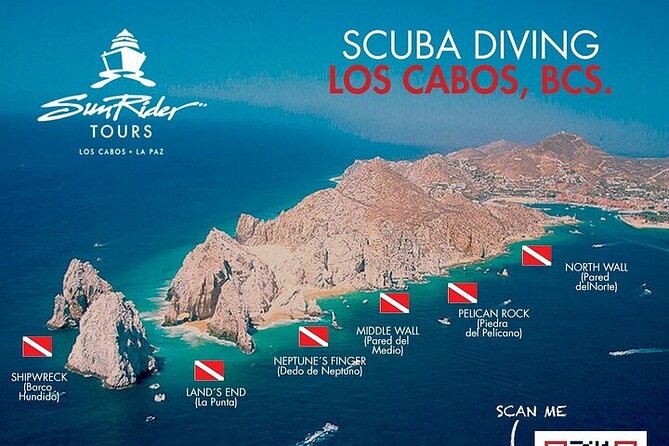 Los Cabos 1 tank dive to Land’s End (Certified Divers) - Who should book this Cabo scuba trip?