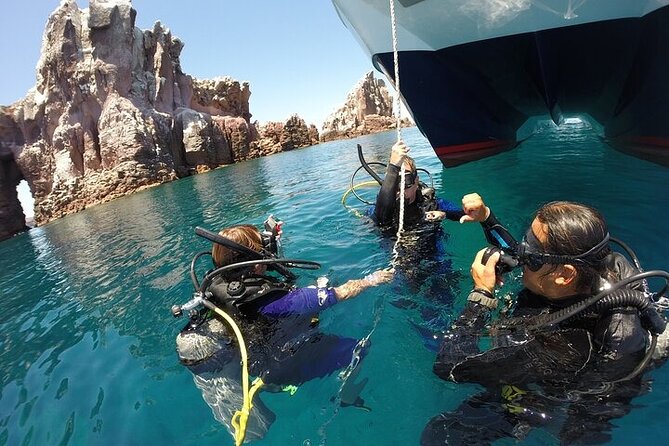 Los Cabos 1 tank dive to Land’s End (Certified Divers) - Choosing among Cabo’s possible sites