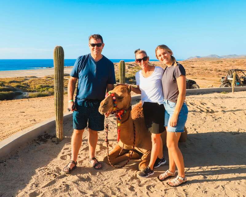 Los Cabos: 2 in 1 Combo Tour - Key points to know before booking
