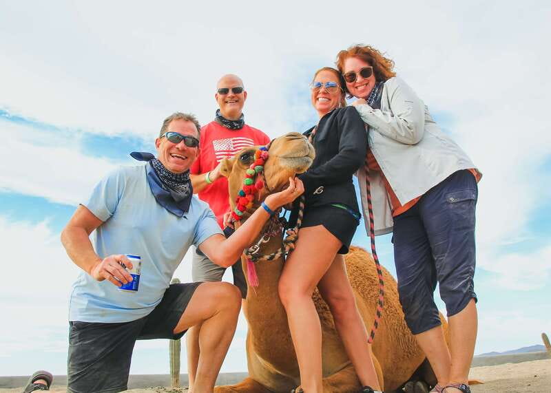 Los Cabos: 2 in 1 Combo Tour - Two Cabo worlds in a single ride