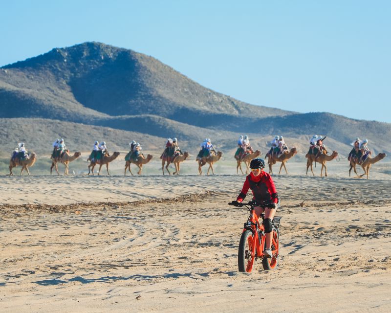 Los Cabos: 2 in 1 Combo Tour - Camel or horseback riding beside the Pacific