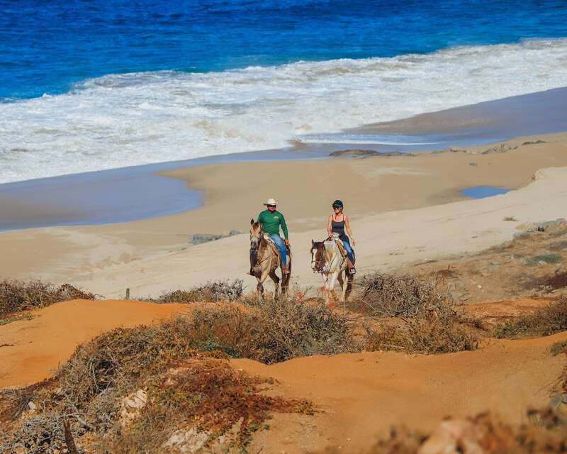 Los Cabos: 2 in 1 Combo Tour - What $143 really buys you