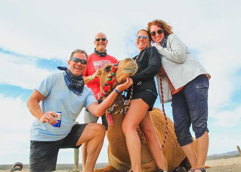 Los Cabos: 2 in 1 Combo Tour - Who will enjoy this most