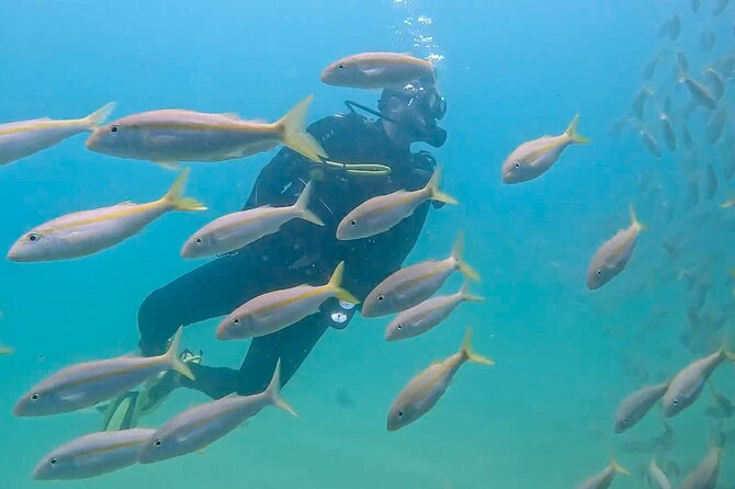 Los Cabos 2 tanks dive to The Corridor (Certified divers) - Safety and the practical details