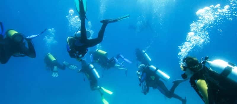 Los Cabos 3-Hour Certified Scuba Diving Tour - What the price includes, and what it does not