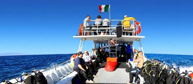 Los Cabos 3-Hour Certified Scuba Diving Tour - Simple ways to prepare