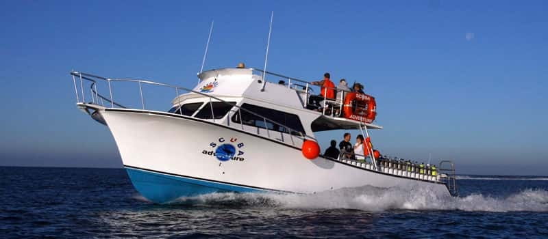 Los Cabos: 3-Hour Introductory Scuba Diving Adventure - What the 3.5-hour Cabo introduction feels like