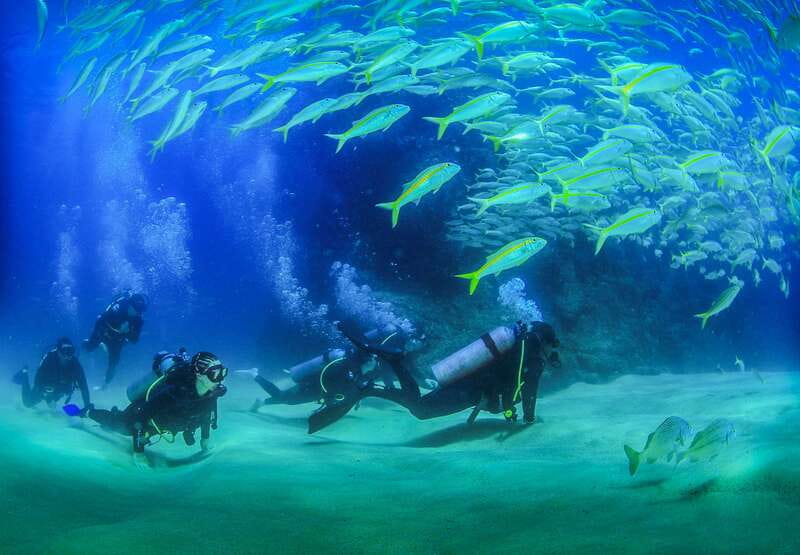 Los Cabos: 3-Hour Introductory Scuba Diving Adventure - Reaching the Sea of Cortez sites