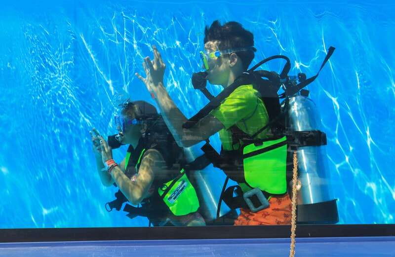 Los Cabos: 3-Hour Introductory Scuba Diving Adventure - Choosing the best season for visibility