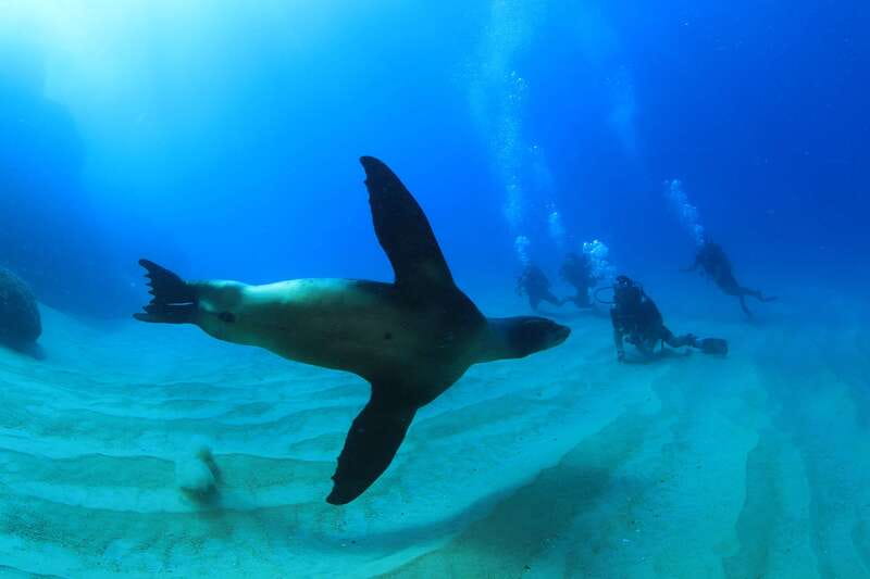 Los Cabos: 3-Hour Introductory Scuba Diving Adventure - A practical morning checklist