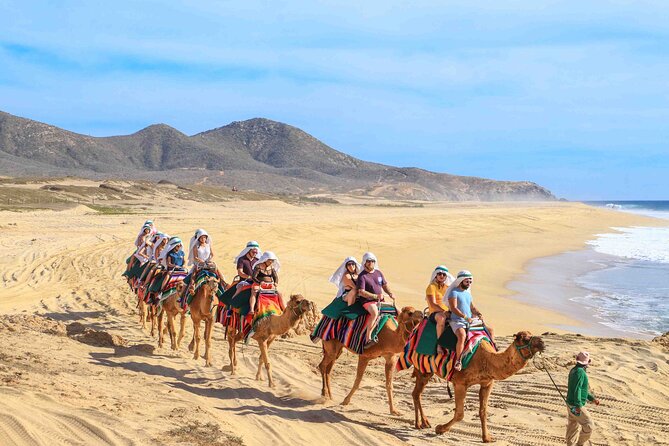 Los Cabos 3 in 1 Adventure: Camel Ride, Lunch and Arch Boat Tour - Key Points at a Glance