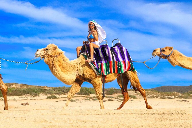 Los Cabos 3 in 1 Adventure: Camel Ride, Lunch and Arch Boat Tour - The Unlimited Buffet Between Activities