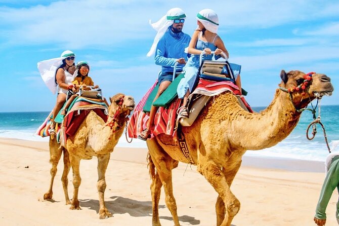 Los Cabos 3 in 1 Adventure: Camel Ride, Lunch and Arch Boat Tour - Seeing El Arco From a Clear Boat