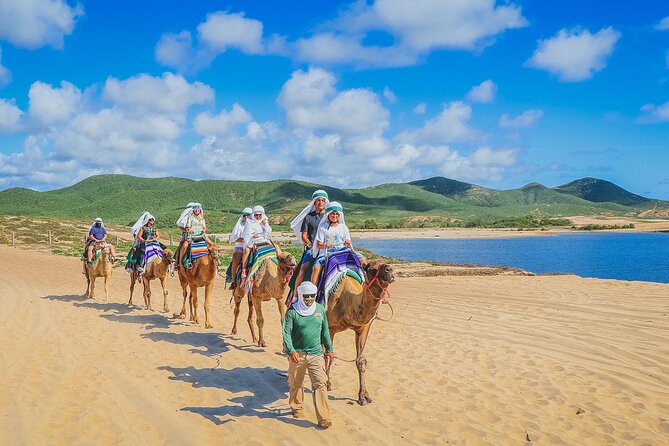 Los Cabos 3 in 1 Adventure: Camel Ride, Lunch and Arch Boat Tour - What the $152.10 Price Really Covers