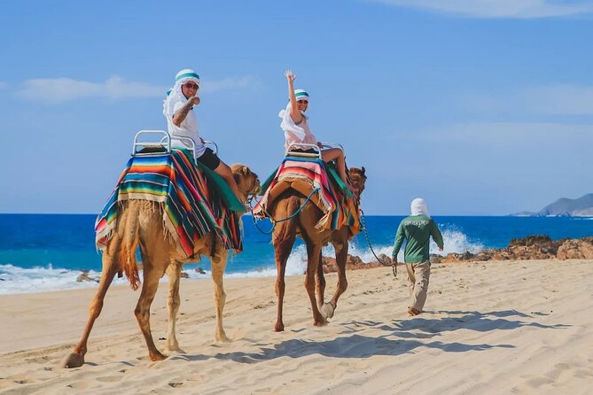 Los Cabos 3 in 1 Adventure: Camel Ride, Lunch and Arch Boat Tour - Practical Ways to Have a Better Day