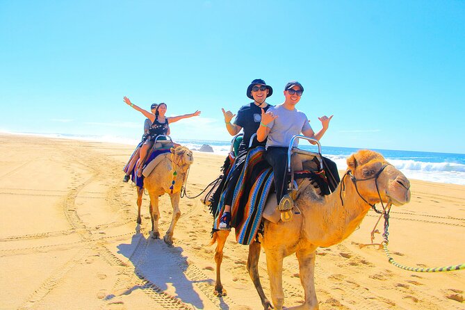 Los Cabos 3 in 1 Adventure: Camel Ride, Lunch and Arch Boat Tour - The Ride to Playa Migrino