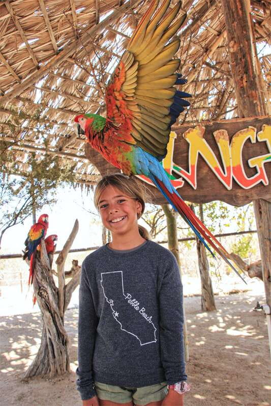 Los Cabos: Animal Encounter & Aqua Park Adventure - Key points at a glance