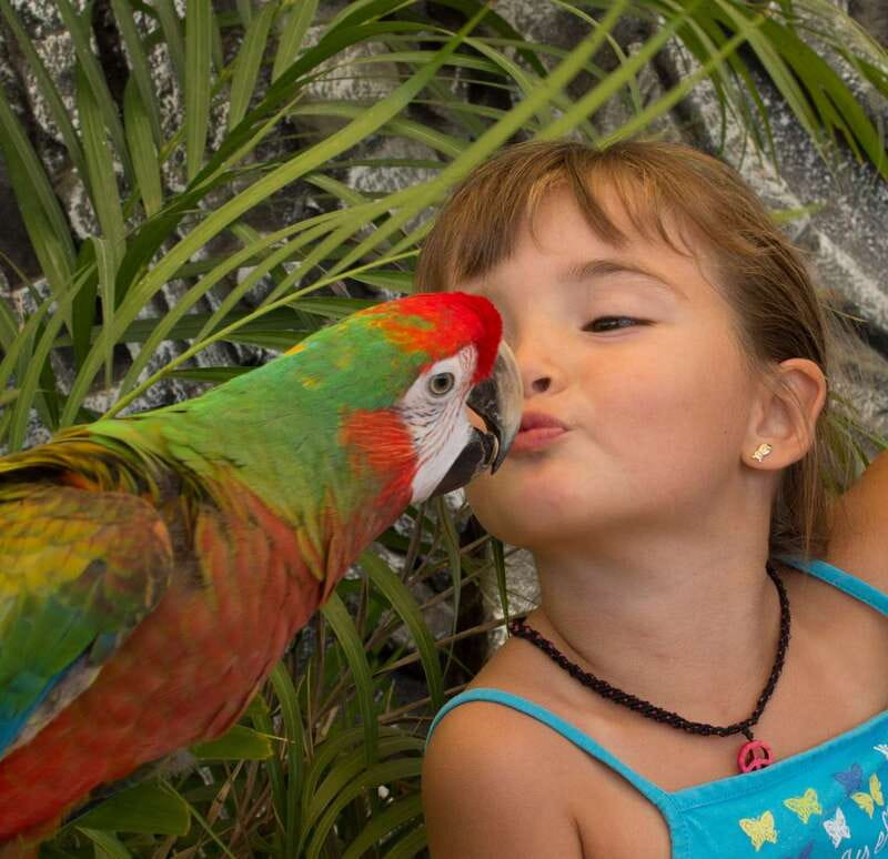 Los Cabos: Animal Encounter & Aqua Park Adventure - Who should book this experience?