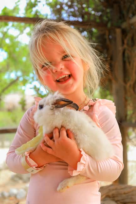 Los Cabos: Animal Encounter & Aqua Park Adventure - Meeting rescued animals at Wild Canyon