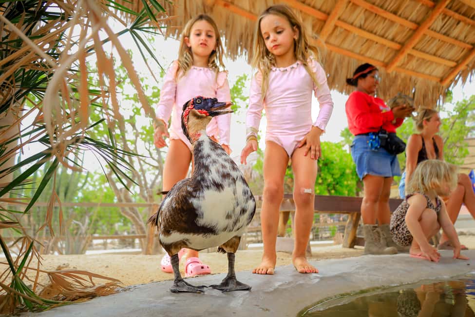 Los Cabos: Animal Encounter & Aqua Park Adventure - The two-hour guided animal visit