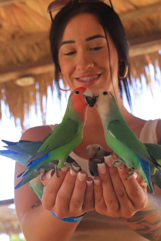 Los Cabos: Animal Encounter & Aqua Park Adventure - The bridge, swimming, and free time