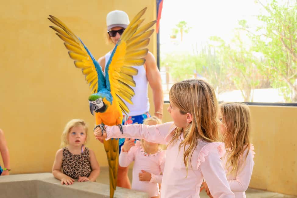 Los Cabos: Animal Encounter & Aqua Park Adventure - Pickup from Cabo and the Tourist Corridor