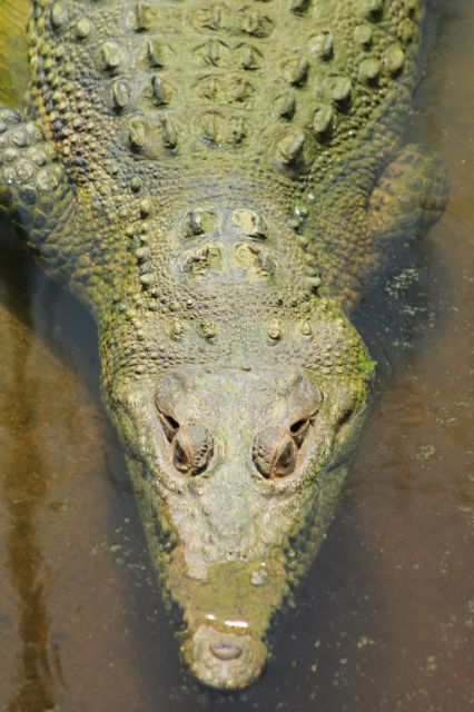 Los Cabos: Animal Encounter & Aqua Park Adventure - What makes it a good choice for young children