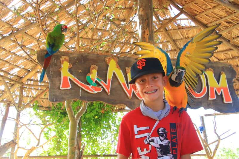 Los Cabos: Animal Encounter & Aqua Park Adventure - Practical preparation before you go