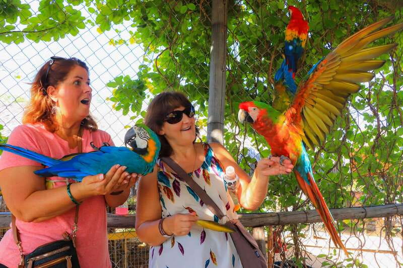 Los Cabos: Animal Encounter & Aqua Park Adventure - Why the guide matters for families