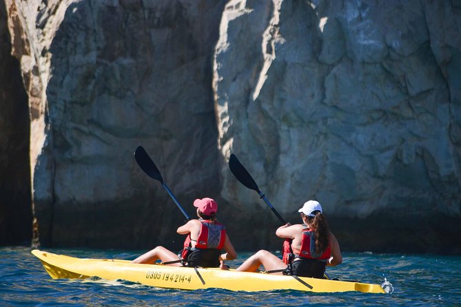 Los Cabos Arch and Playa del Amor Tour by Glass Bottom Kayak - Land’s End, sea lions, and the approach to El Arco