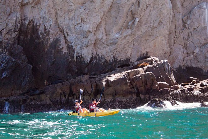 Los Cabos Arch and Playa del Amor Tour by Glass Bottom Kayak - Timing, weather, and the $95 price