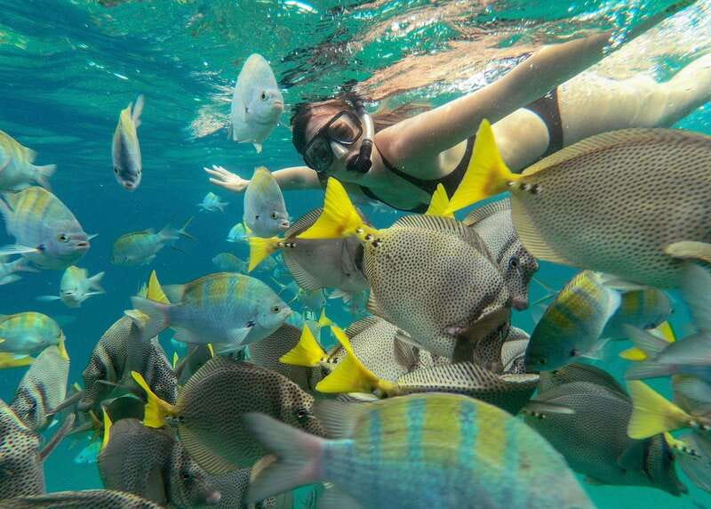 Los Cabos Arch & Lover’s Beach Tour + Snorkeling Tour - What the $67 price really covers